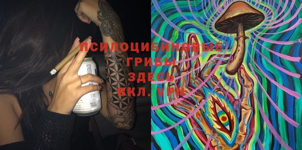 молекула духа Абинск