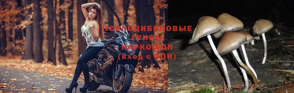альфа пвп VHQ Абдулино