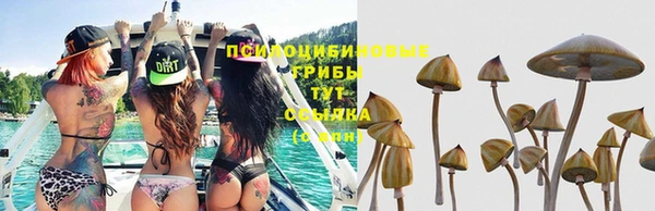 винт Алексеевка